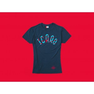 ICARO Basic